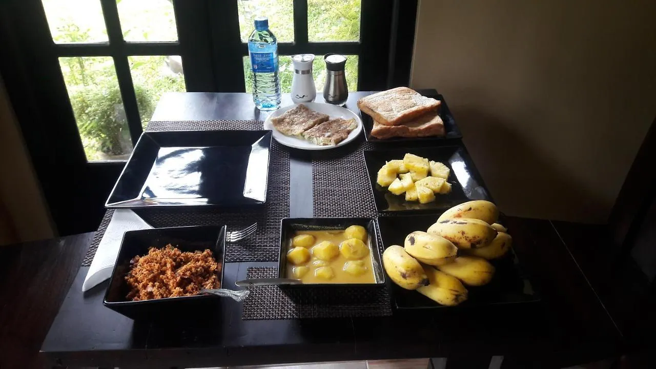 Bed & Breakfast Edwin'S Airport Stay Dalupotha